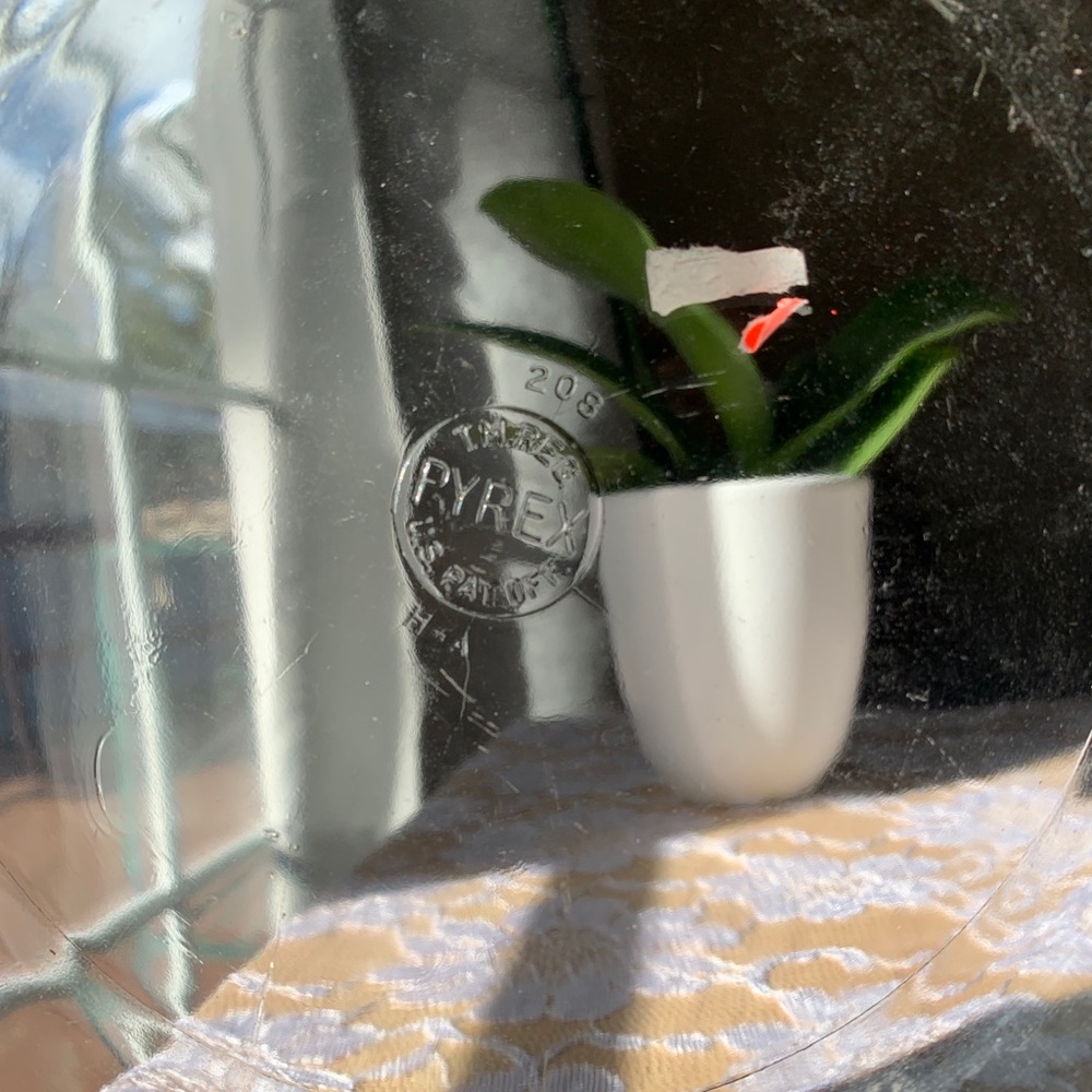 Pyrex plates - Picture 3 of 13